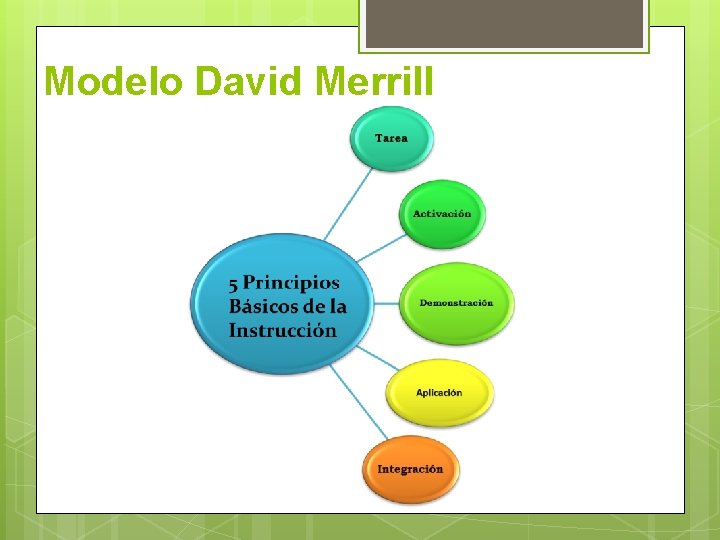 Modelo David Merrill 