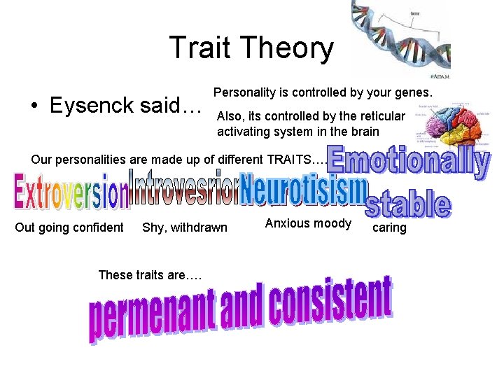 Trait Theory • Eysenck said… Personality is controlled by your genes. Also, its controlled