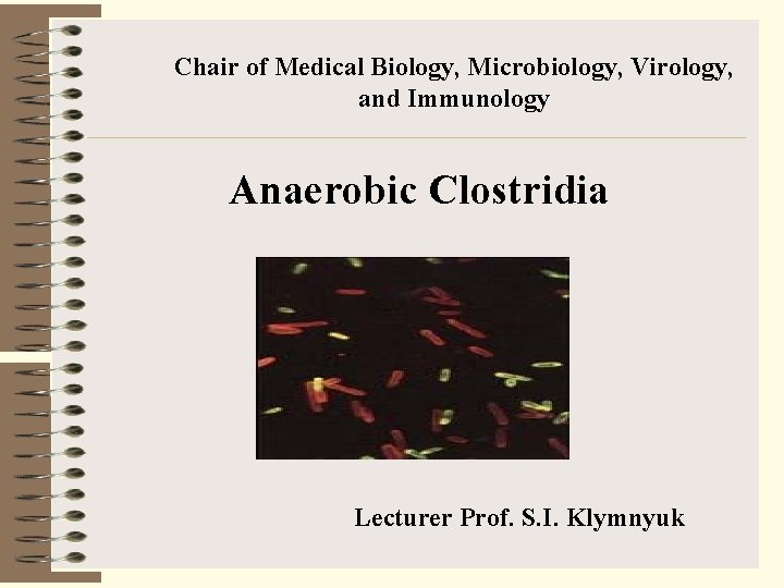 Chair of Medical Biology, Microbiology, Virology, and Immunology Anaerobic Clostridia Lecturer Prof. S. I.