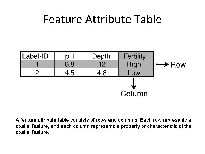 Feature Attribute Table A feature attribute table consists of rows and columns. Each row Feature Attribute Table A feature attribute table consists of rows and columns. Each row