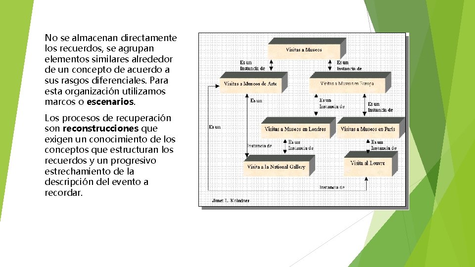 No se almacenan directamente los recuerdos, se agrupan elementos similares alrededor de un concepto