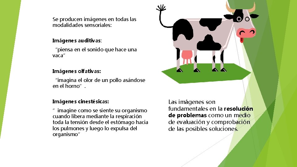 Se producen imágenes en todas las modalidades sensoriales: Imágenes auditivas: “piensa en el sonido