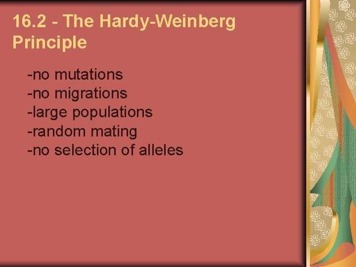 16. 2 - The Hardy-Weinberg Principle -no mutations -no migrations -large populations -random mating