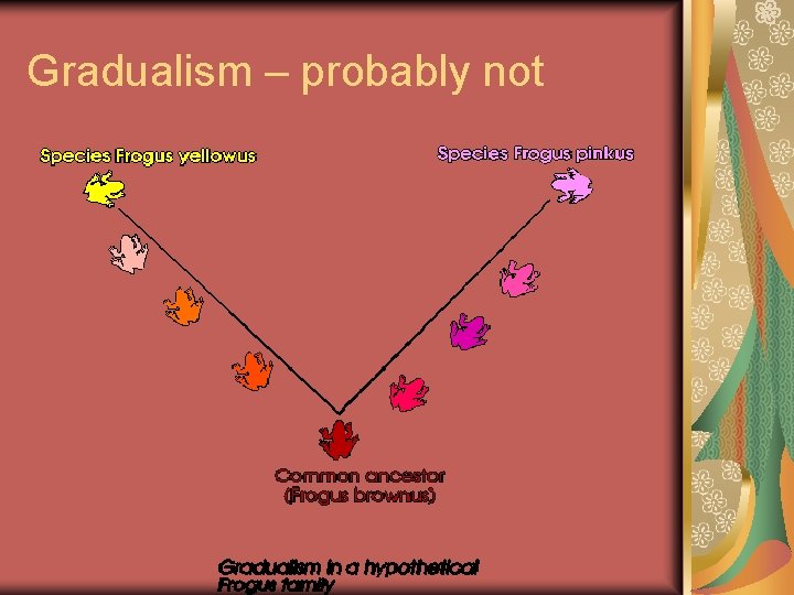 Gradualism – probably not 