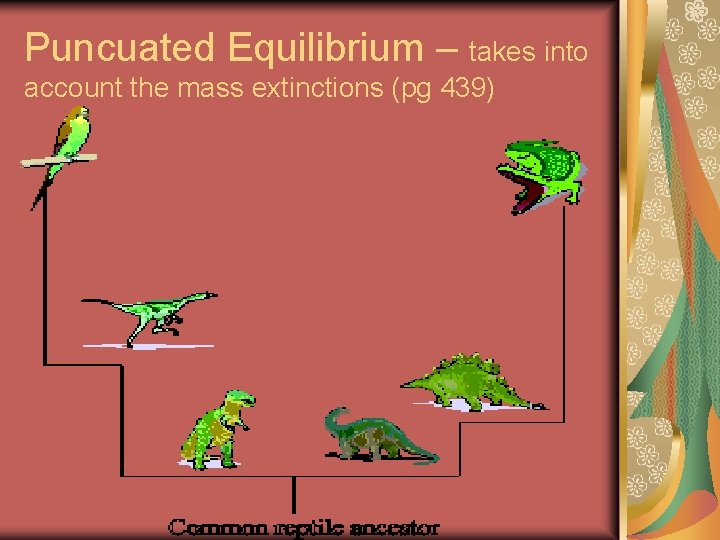 Puncuated Equilibrium – takes into account the mass extinctions (pg 439) 
