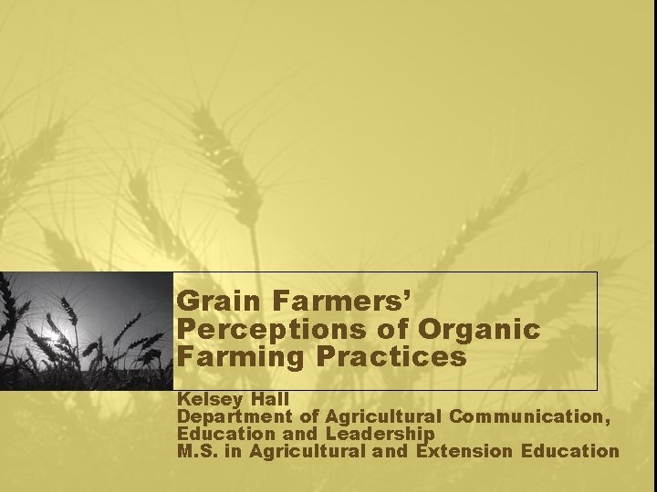 Grain Farmers’ Perceptions of Organic Farming Practices Kelsey Hall Department of Agricultural Communication, Education