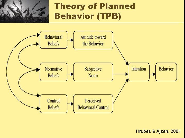 Theory of Planned Behavior (TPB) Hrubes & Ajzen, 2001 