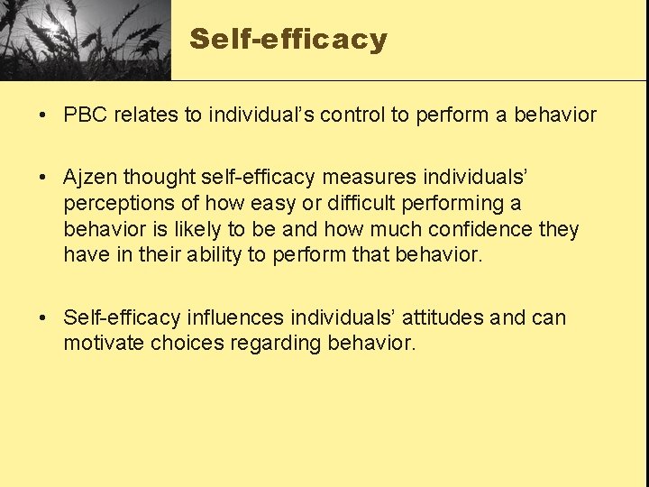 Self-efficacy • PBC relates to individual’s control to perform a behavior • Ajzen thought