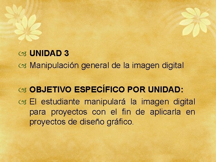  UNIDAD 3 Manipulación general de la imagen digital OBJETIVO ESPECÍFICO POR UNIDAD: El