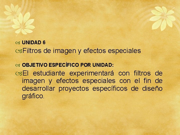  UNIDAD 6 Filtros de imagen y efectos especiales OBJETIVO ESPECÍFICO POR UNIDAD: El