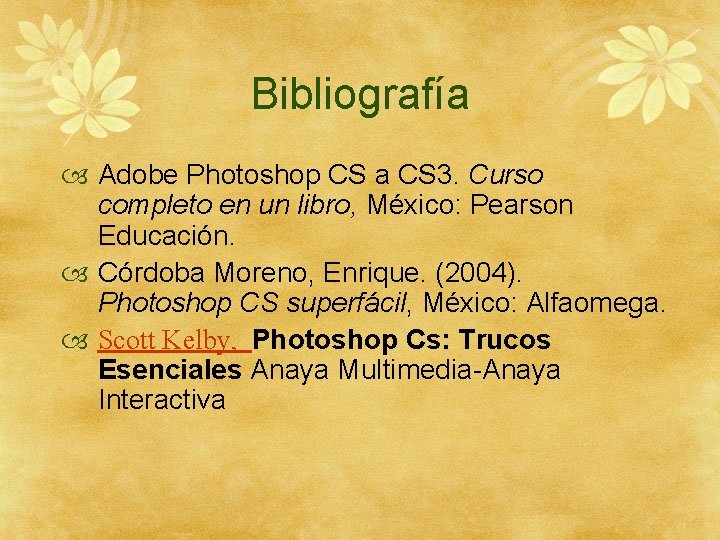 Bibliografía Adobe Photoshop CS a CS 3. Curso completo en un libro, México: Pearson