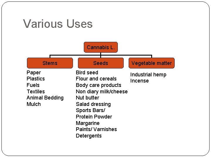 Various Uses Cannabis L. Stems Paper Plastics Fuels Textiles Animal Bedding Mulch Seeds Vegetable