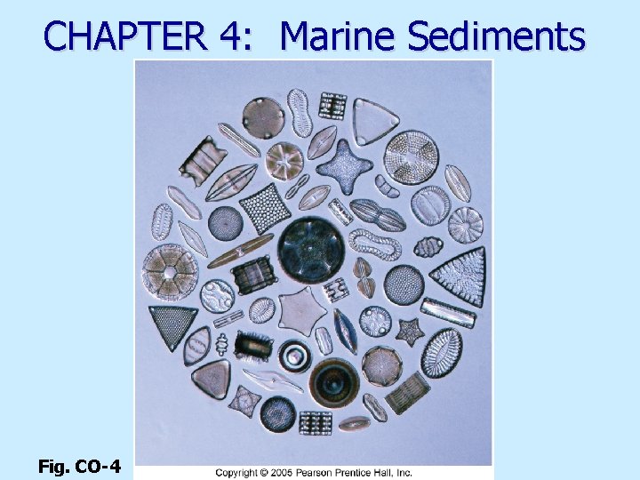 CHAPTER 4: Marine Sediments Fig. CO-4 