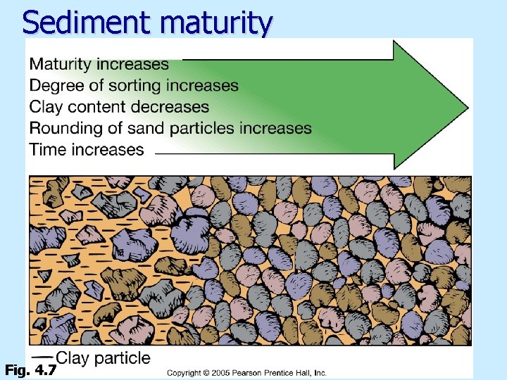 Sediment maturity Fig. 4. 7 