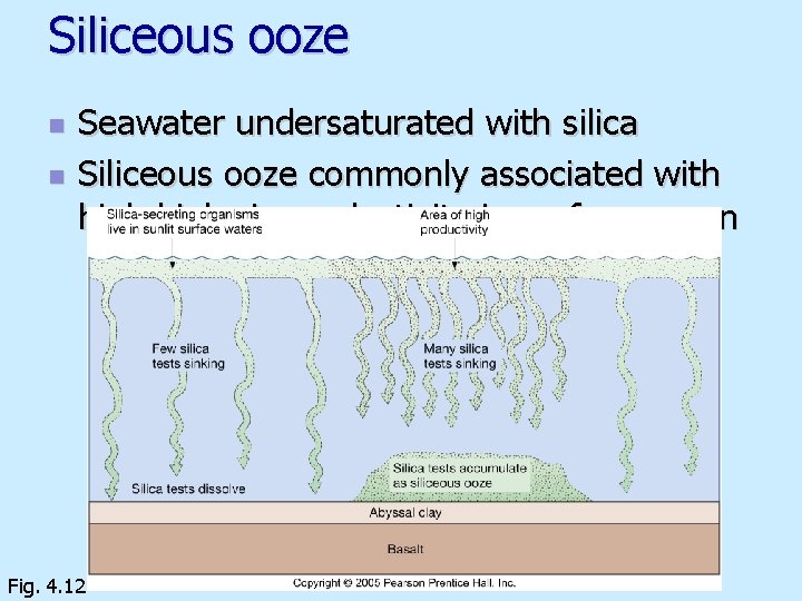 Siliceous ooze n n Seawater undersaturated with silica Siliceous ooze commonly associated with high