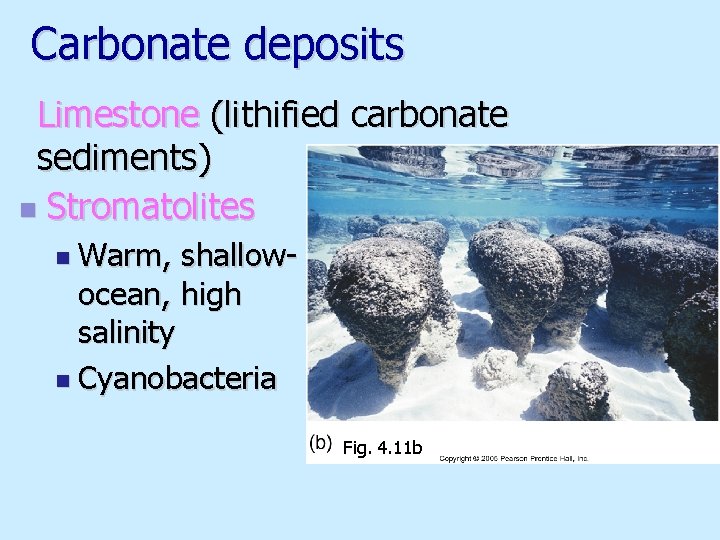 Carbonate deposits Limestone (lithified carbonate sediments) n Stromatolites n Warm, shallowocean, high salinity n