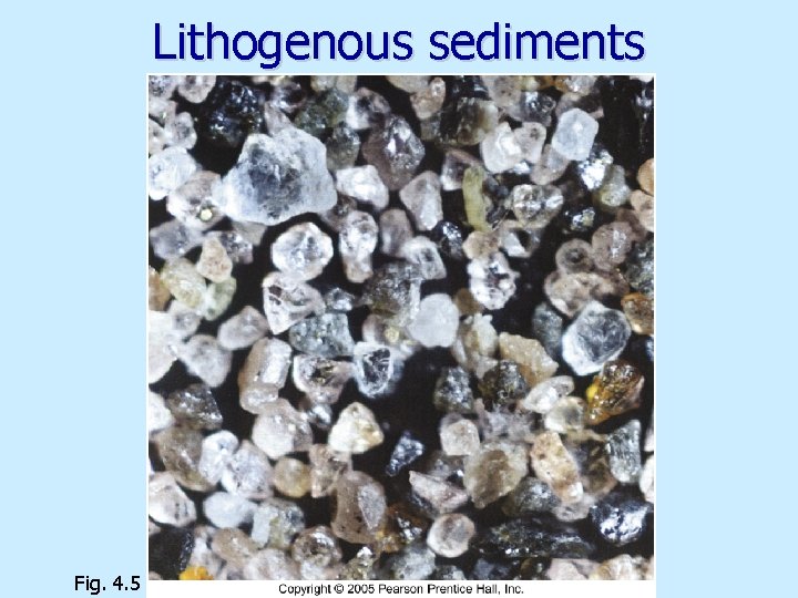 Lithogenous sediments Fig. 4. 5 
