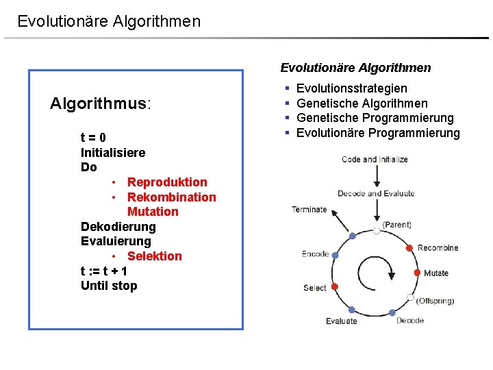 Evolutionäre Algorithmen Algorithmus: t=0 Initialisiere Do • Reproduktion • Rekombination Mutation Dekodierung Evaluierung •