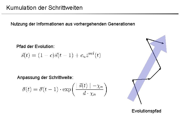 Kumulation der Schrittweiten Nutzung der Informationen aus vorhergehenden Generationen Pfad der Evolution: Anpassung der