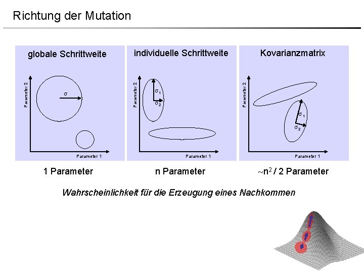 Richtung der Mutation individuelle Schrittweite Kovarianzmatrix Parameter 2 globale Schrittweite 1 2 Parameter 1