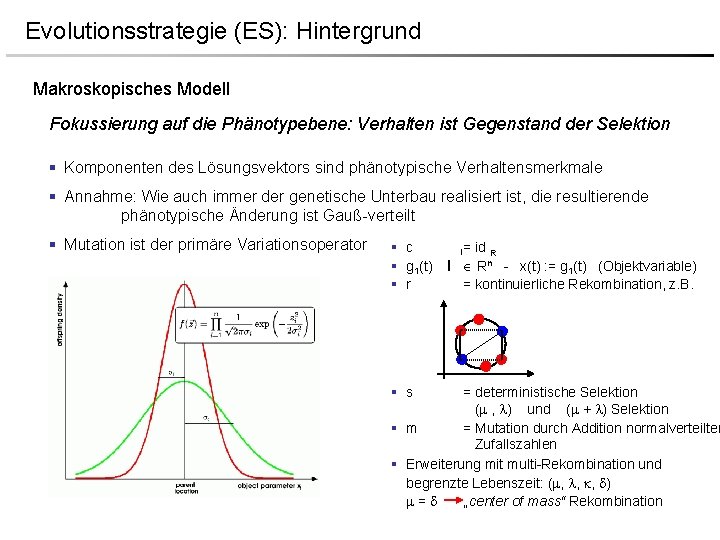 Evolutionsstrategie (ES): Hintergrund Makroskopisches Modell Fokussierung auf die Phänotypebene: Verhalten ist Gegenstand der Selektion