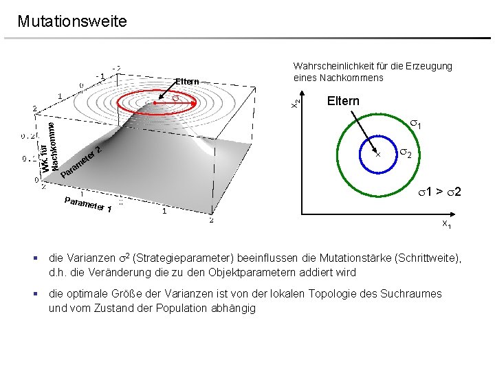 Mutationsweite Wk. für e Nachkomm x 2 Eltern Wahrscheinlichkeit für die Erzeugung eines Nachkommens