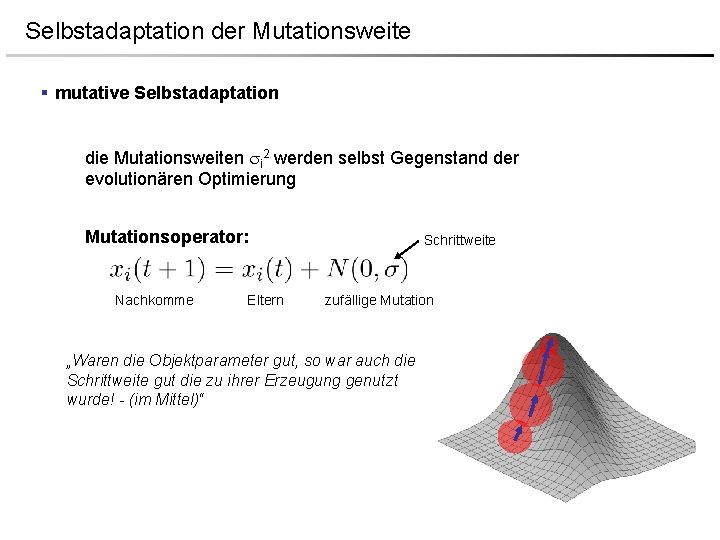 Selbstadaptation der Mutationsweite § mutative Selbstadaptation die Mutationsweiten i 2 werden selbst Gegenstand der