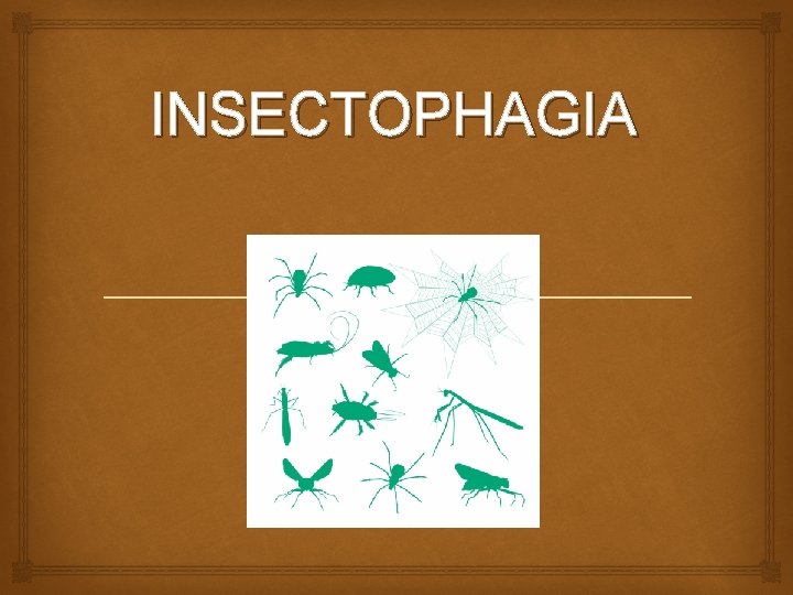 INSECTOPHAGIA 