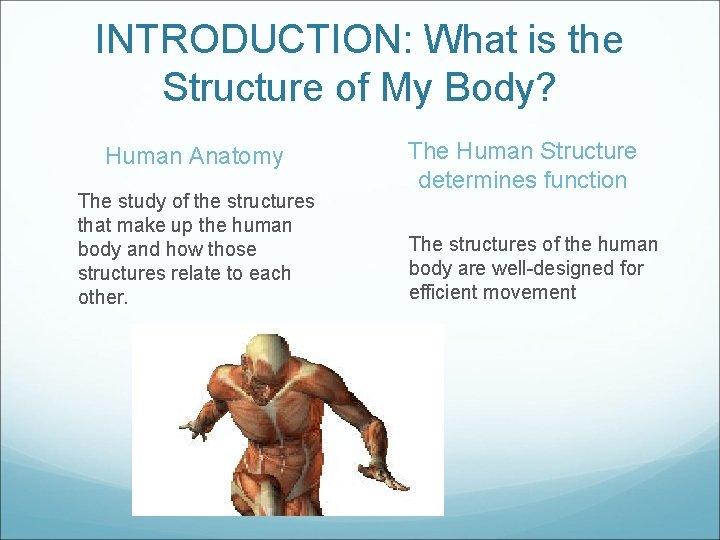 INTRODUCTION: What is the Structure of My Body? Human Anatomy The study of the