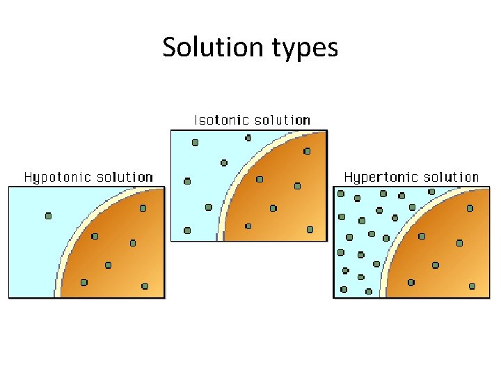 Solution types 