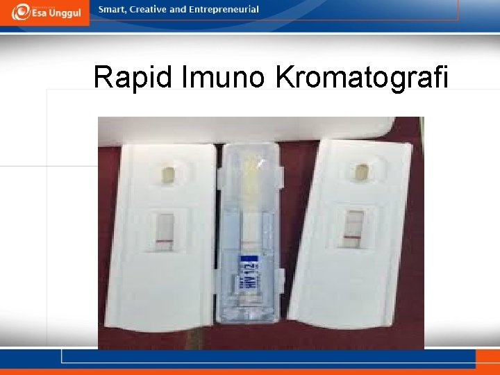 Rapid Imuno Kromatografi 