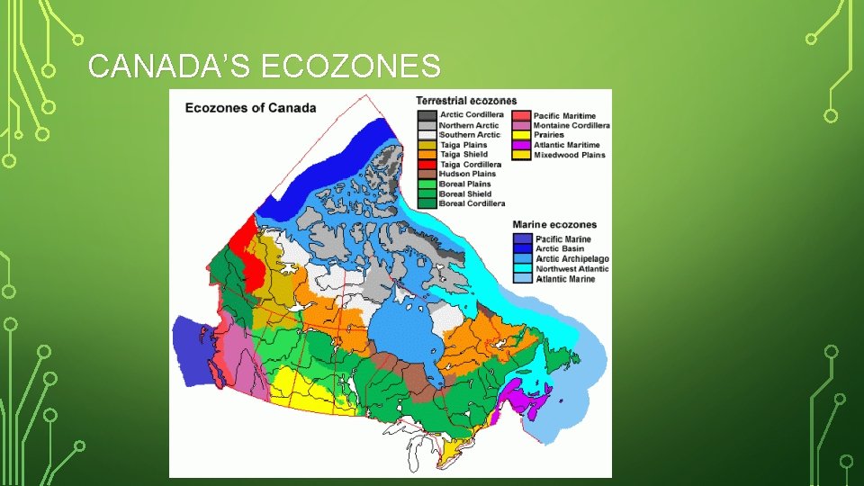 CANADA’S ECOZONES 