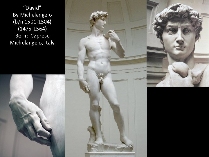 “David” By Michelangelo (b/n 1501 -1504) (1475 -1564) Born: Caprese Michelangelo, Italy 