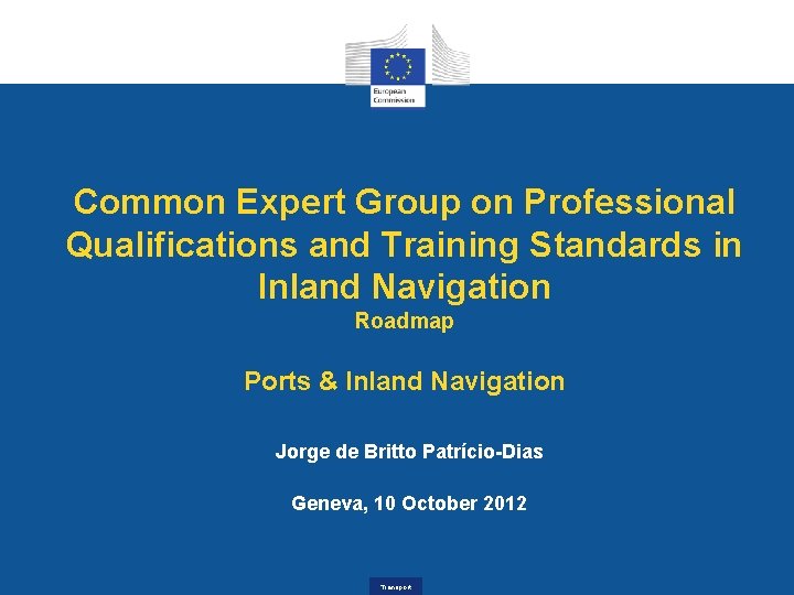 Common Expert Group on Professional Qualifications and Training