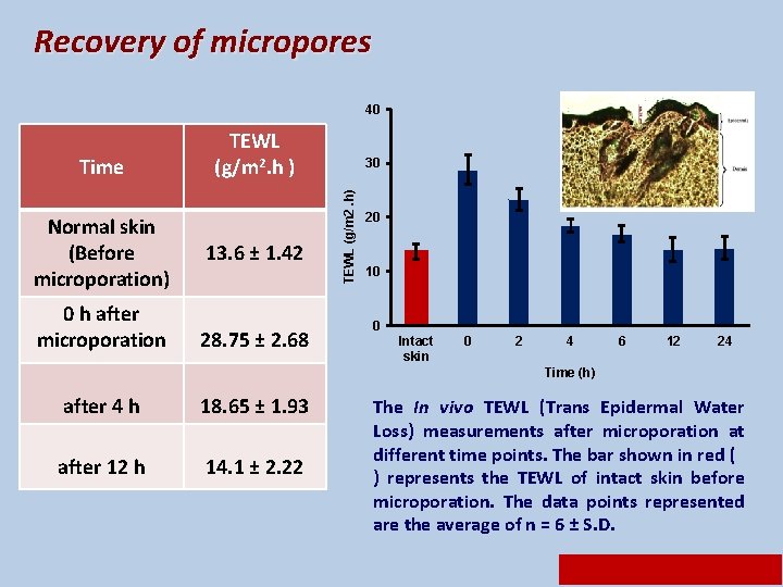 Recovery of micropores 40 Normal skin (Before microporation) 0 h after microporation 13. 6