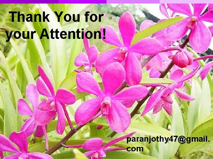 Thank You for your Attention! Septembrie 2010 paranjothy 47@gmail. com 