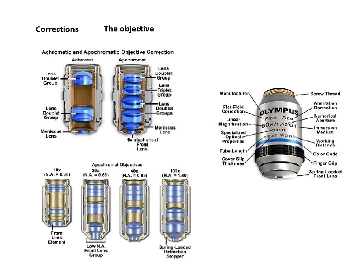 Corrections The objective 