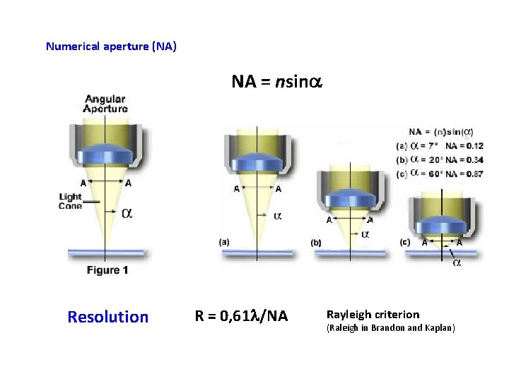 Numerical aperture (NA) NA = nsina Resolution R = 0, 61 l/NA Rayleigh criterion