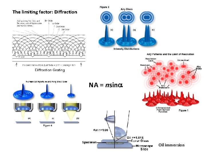 The limiting factor: Diffraction NA = nsina Oil immersion 