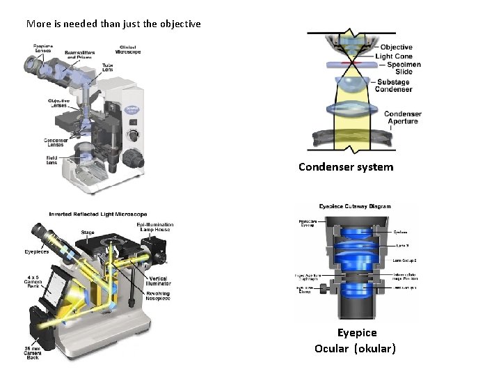 More is needed than just the objective Condenser system Eyepice Ocular (okular) 