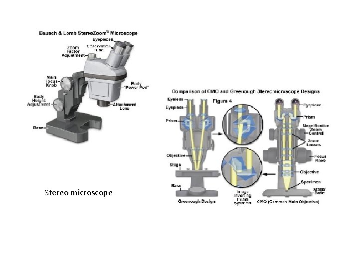 Stereo microscope 