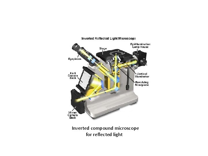Inverted compound microscope for reflected light 