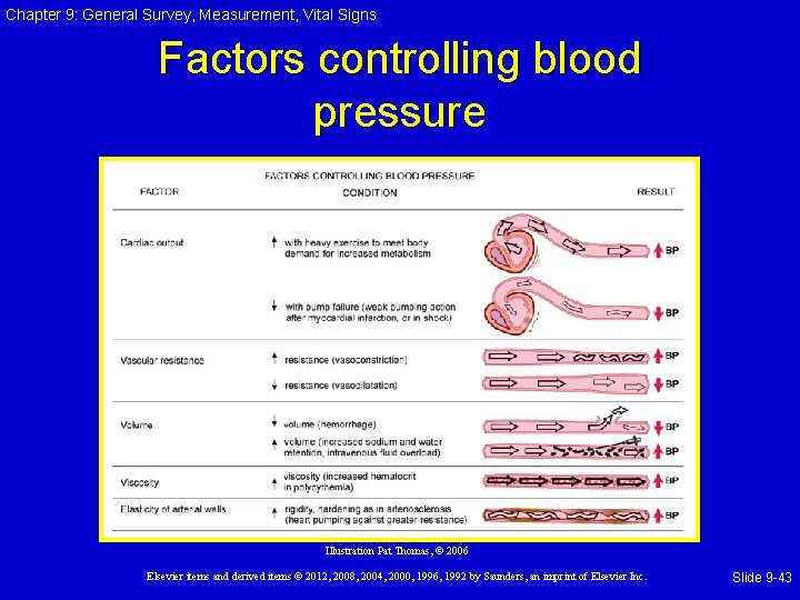 Chapter 9: General Survey, Measurement, Vital Signs Factors controlling blood pressure Illustration Pat Thomas, Chapter 9: General Survey, Measurement, Vital Signs Factors controlling blood pressure Illustration Pat Thomas,