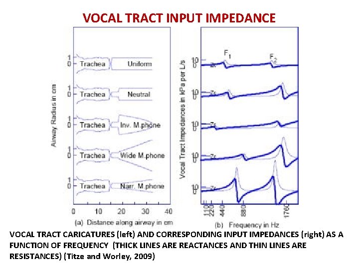 VOCAL TRACT INPUT IMPEDANCE VOCAL TRACT CARICATURES (left) AND CORRESPONDING INPUT IMPEDANCES (right) AS