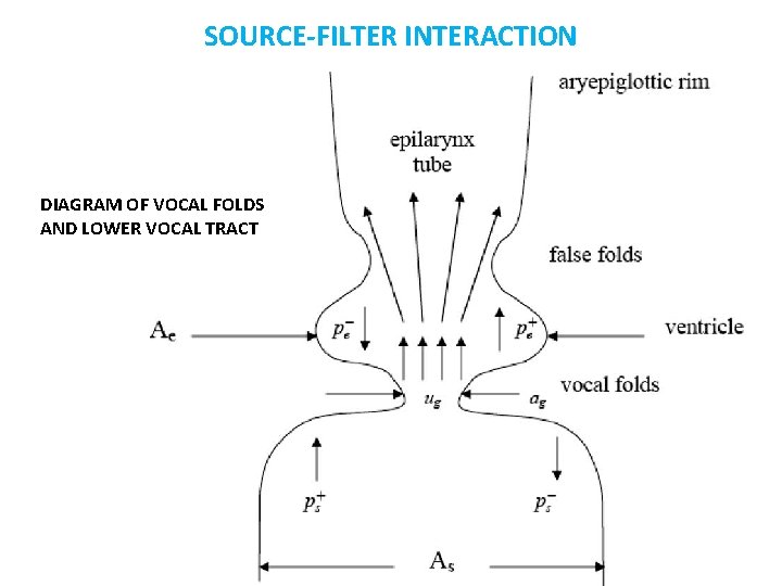SOURCE-FILTER INTERACTION DIAGRAM OF VOCAL FOLDS AND LOWER VOCAL TRACT 