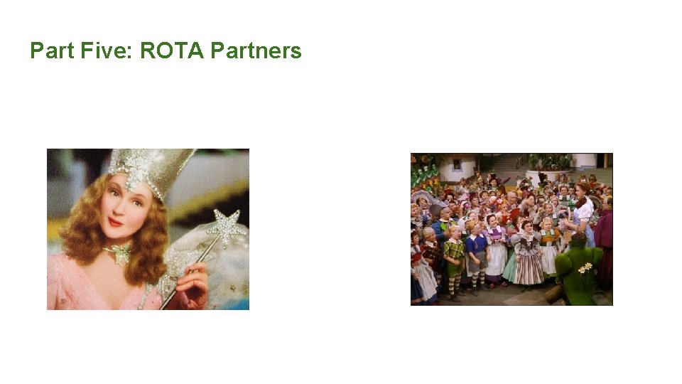 Part Five: ROTA Partners 