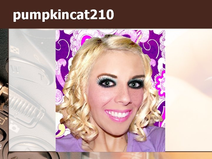 pumpkincat 210 