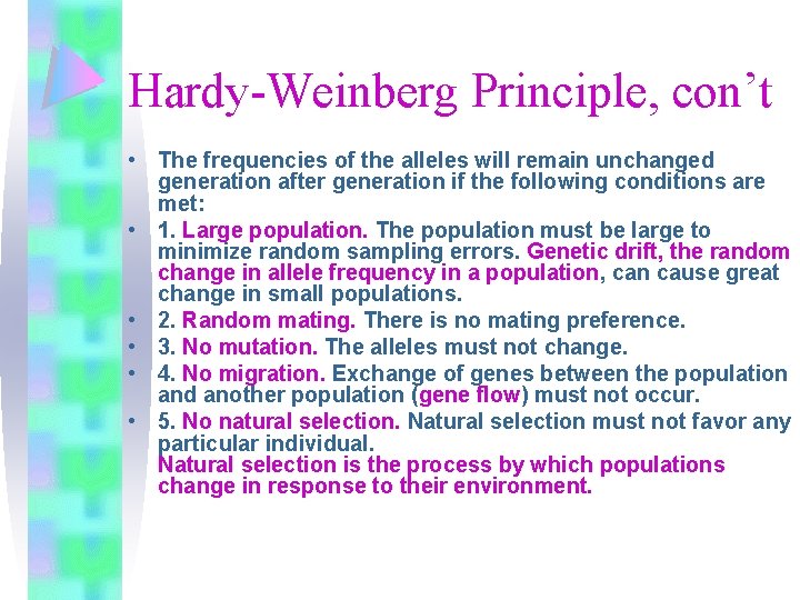 Hardy-Weinberg Principle, con’t • The frequencies of the alleles will remain unchanged generation after