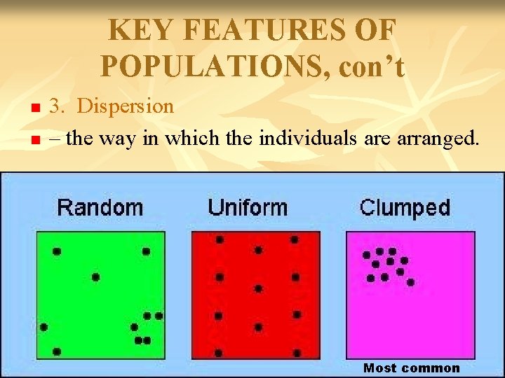 KEY FEATURES OF POPULATIONS, con’t n n 3. Dispersion – the way in which