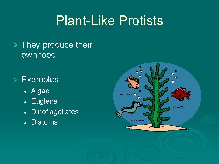 Plant-Like Protists Ø They produce their own food Ø Examples l l Algae Euglena Plant-Like Protists Ø They produce their own food Ø Examples l l Algae Euglena